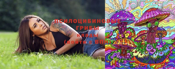 эйфоретик Алексин