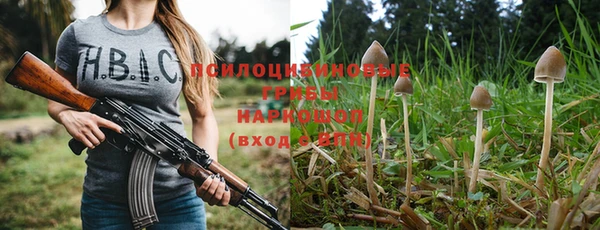 эйфоретик Алексин
