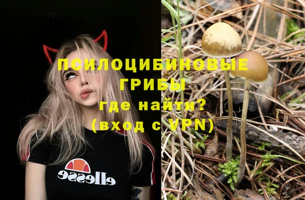 эйфоретик Алексин